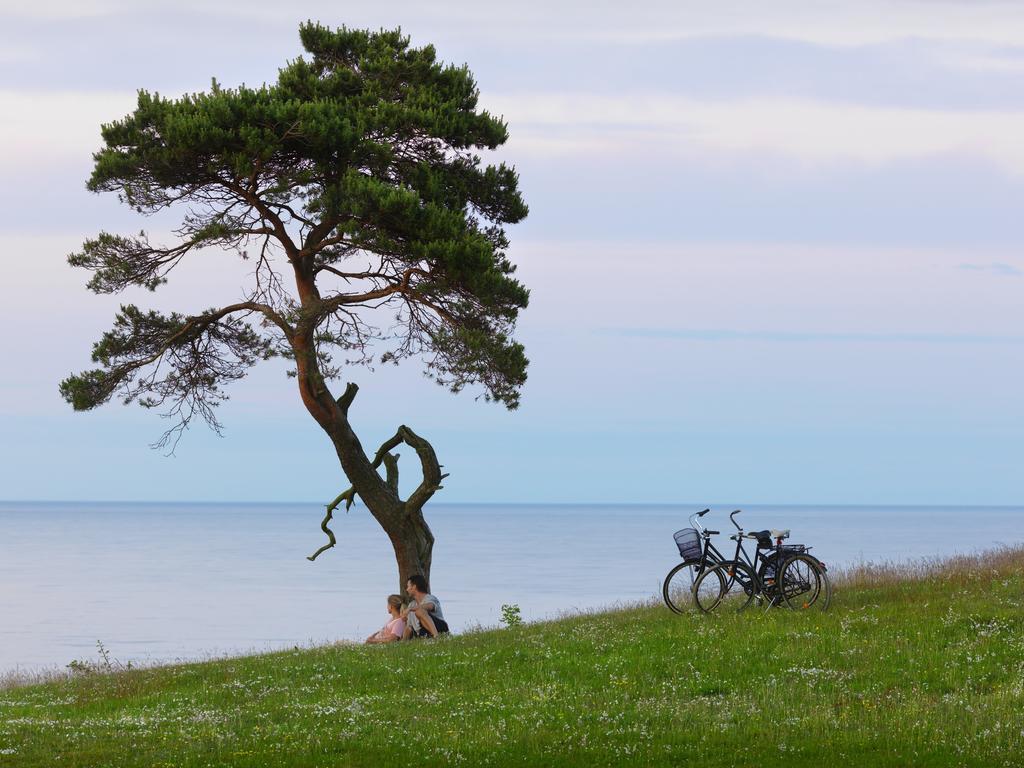 Kuskahusen Vandrarhem Andrarum-Brosarp Esterno foto
