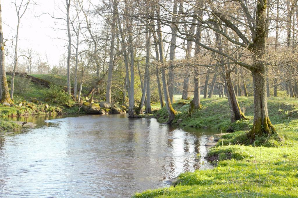 Kuskahusen Vandrarhem Andrarum-Brosarp Esterno foto