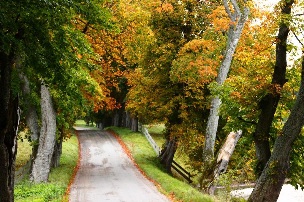 Kuskahusen Vandrarhem Andrarum-Brosarp Esterno foto